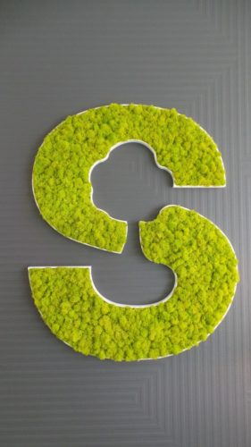 Logo végétalisé pour entreprise à St Grégoire (35) par Florence Vatelot, Décoratrice UFDI à St Malo, Dinan, Dinard et Cancale (22)