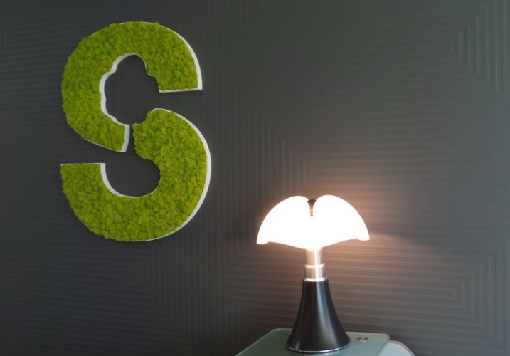 Focus logo végétal, lampe pipistrello  à St Grégoire (35) par Florence Vatelot, Décoratrice UFDI à St Malo, Dinan, Dinard et Cancale (22)